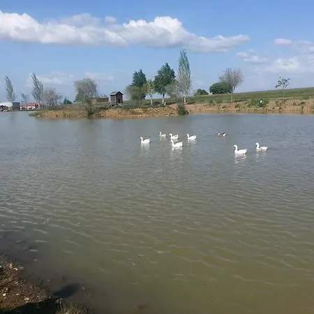Lantställe Casa Rural La Lozana *
