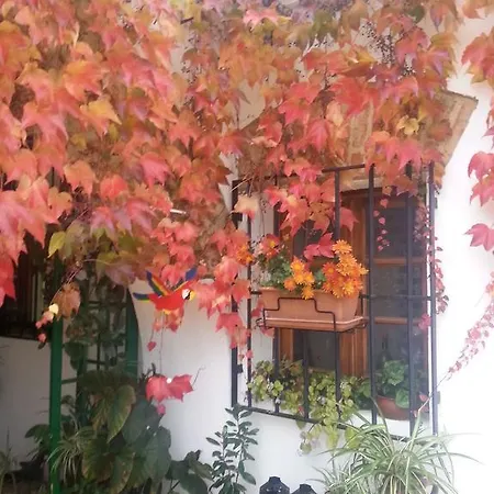 Casa Rural La Lozana