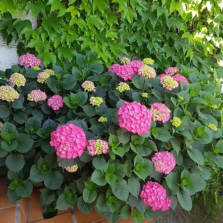 Lantställe Casa Rural La Lozana
